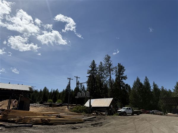 Webley Lumber